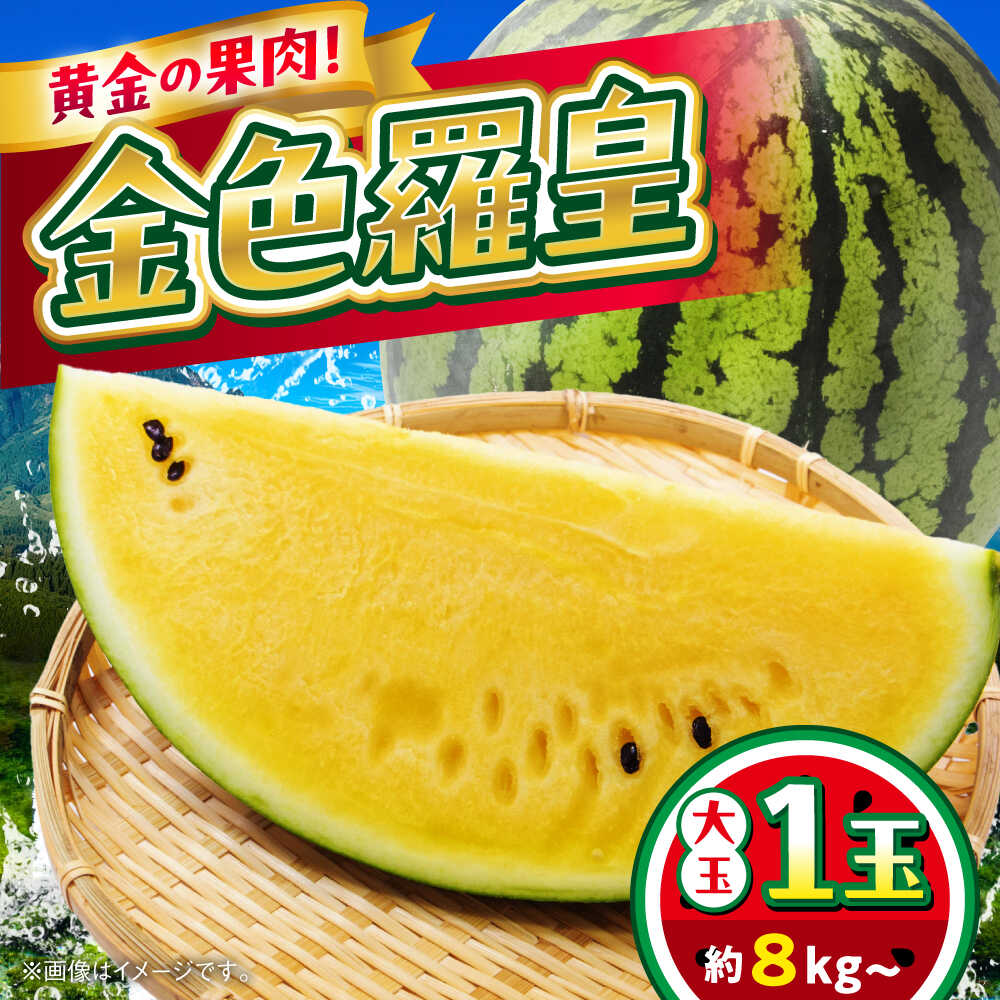 【ふるさと納税】【先行予約】【2027年5月上旬から順次発送】すいか 金色羅皇 1玉入り 約8kg 黄色い スイカ 金色羅王 こんじきらおう コンジキラオウ 西瓜 熊本 合志市 【日本フルーツ株式会社】[AYDA008]