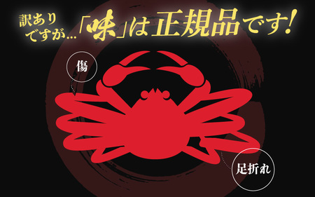 【訳あり】越前がに本場の越前町からお届け！≪浜茹で≫越前がに 中サイズ（生で約600～800g） × 1杯【1月発送分】【雄 ズワイガニ 越前ガニ 姿 ボイル 冷蔵 かに カニ 蟹 福井県】希望日指定