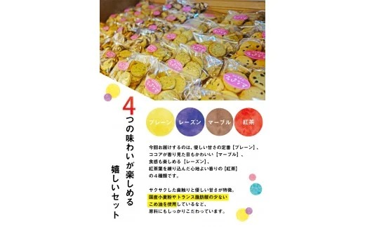 るぴなすクッキーセット4種類 各60g×8袋《60日以内に出荷予定(土日祝除く)》熊本県 玉東町 るぴなすクッキーセット プレーン/マーブル/レーズン/紅茶 かわいいデザインのポストカード2枚付き---sg_lupinus_60d_21_11000_480g---