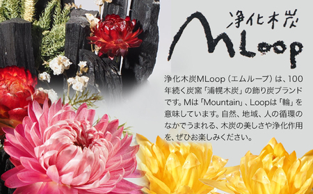 浄化木炭 バケツ飾り炭 1個 MLoop(エムループ) 株式会社浦幌木炭 浦幌木炭 飾り炭 消臭効果 st-p