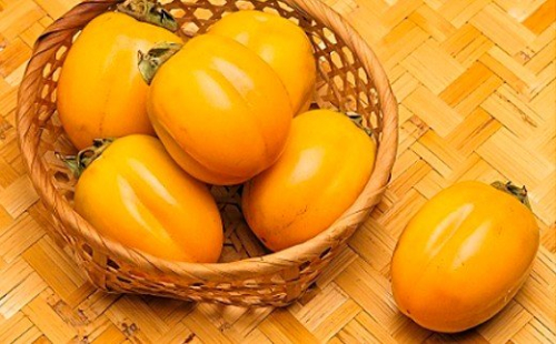 【先行予約】山陰浜田の特産果樹「西条柿」（あわせ柿）2.5kg ＜10月上旬以降のお届け＞ 産地直送 ギフト 贈答 新鮮 フルーツ 果物 旬 秋の味覚 期間限定 数量限定 デザート くだもの 【010_1943】