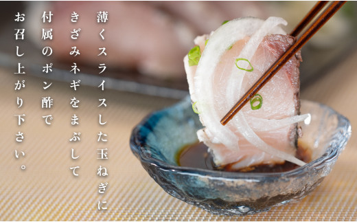 【数量限定】金鰤 藁焼きたたき 800g以上｜冷蔵便 鰤 ぶり 切って盛るだけ ポン酢 刺身 丼 海鮮 魚介 カツオ 鰹 カツオのたたき かつお 鰹 そのままOK ごちそう 産地直送 お取り寄せ ギフ