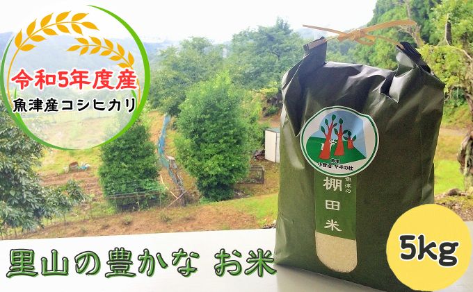 【早期予約】米 令和6年 コシヒカリ 5kg 無洗米 棚田米 ヤギの杜｜富山 こめ コメ お米 おこめ 白米 精米 新米 ※北海道・沖縄・離島への配送不可 ※2024年10月上旬頃より順次発送予定◇