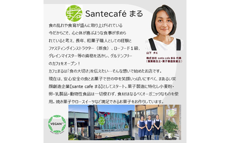 グルテンフリー ヴィーガン 米粉のベリーベリーケーキ18cmホール / ケーキ 苺 / 佐賀県 / 株式会社santecafeまる[41AHAF002]