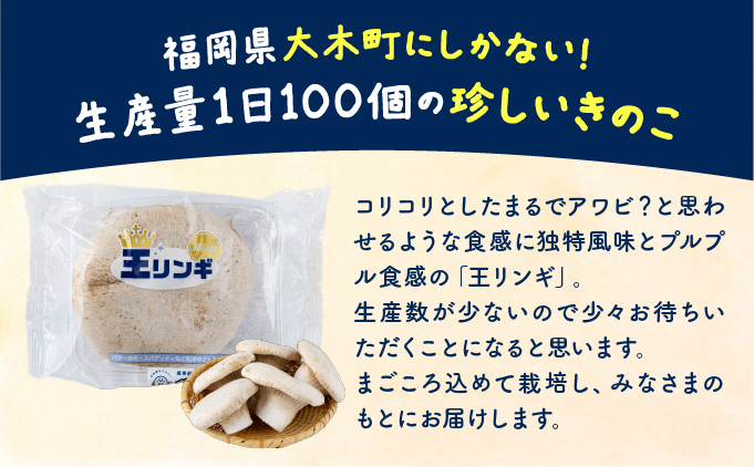 珍しいきのこ　王リンギ5パック AT18