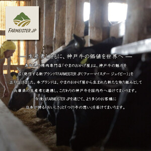 ＜但馬牛＞しゃぶしゃぶ 赤身&霜降り 特選セット700g【FARMEISTER平山牛舗（やまのおかげ屋）FH09】