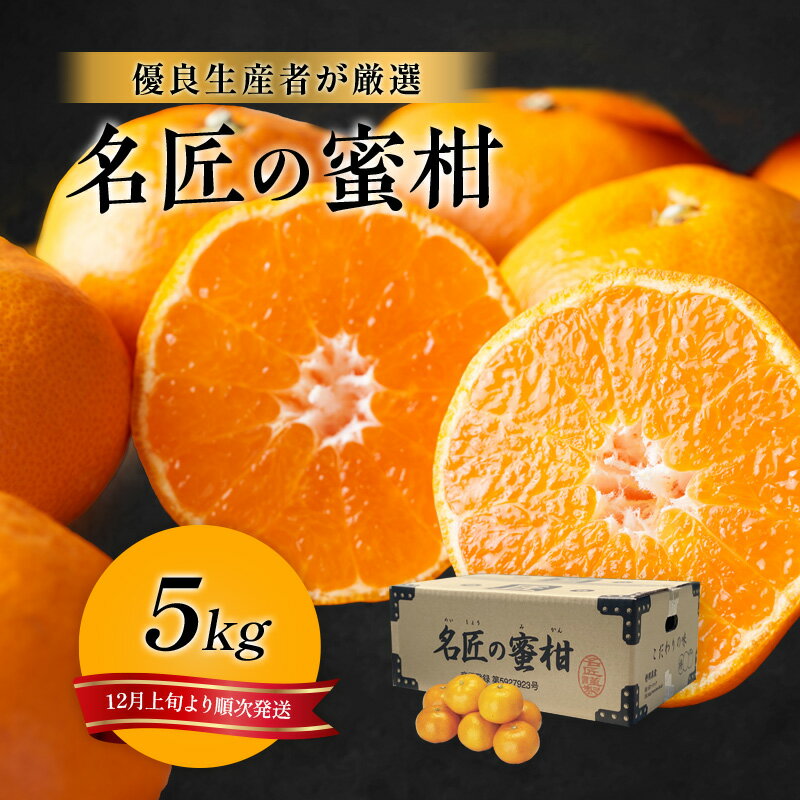 【ふるさと納税】果物 特秀 5kg 名匠のみかん S M 温州みかん フルーツ 産地直送 早生蜜柑 片山蜜柑 青島蜜柑 柑橘 静岡県浜松市　お届け：2026年12月上旬～2027年2月上旬