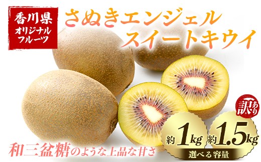 
                  【選べる容量・訳あり有】 さぬきエンジェルスイートキウイ 約1kg 訳あり 約1.5kg 先行予約 【2026年11月～2026年12月頃お届け】 フルーツ 果物 くだもの キウイ さぬき エンジェルスイートキウイ デザート 食品 名産 オリジナル品種 四国 1万円 F5J-668var
                