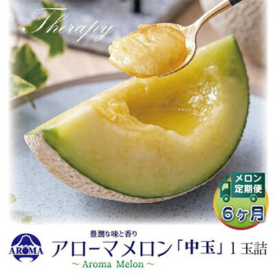 【ふるさと納税】【毎月定期便】アローマメロン白等級(中玉) 1玉 全6回【配送不可地域：離島・北海道・沖縄県】【4013017】
