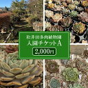 【ふるさと納税】松井田多肉植物園チケットA（2,000円） ANAG002 ／ふるさと納税 観葉植物 多肉 多肉植物 苗 ポット ガーデニング インテリア 24種詰合せ セット 群馬県 安中市