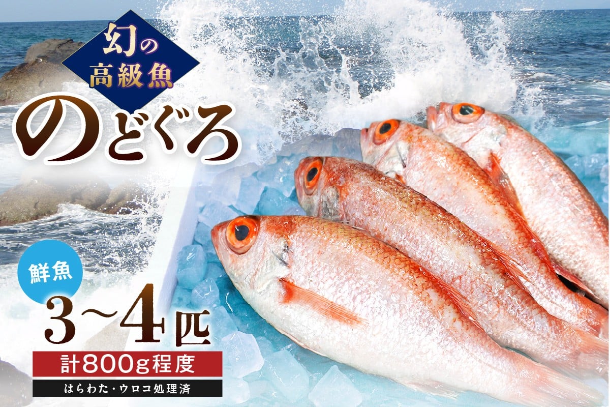 
            幻の高級魚「のどぐろ（鮮魚）」3～4匹（計800g程度） 魚 鮮魚 海鮮 のどぐろ アカムツ 冷蔵 高級魚 下処理済 煮付け 塩焼き 【006_2046】
          