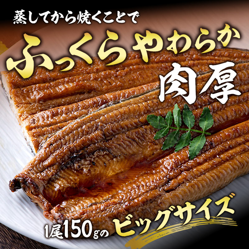 うなぎ 浜名湖 国産 カット蒲焼110g×4 蒲焼150g×4 小分け セッ