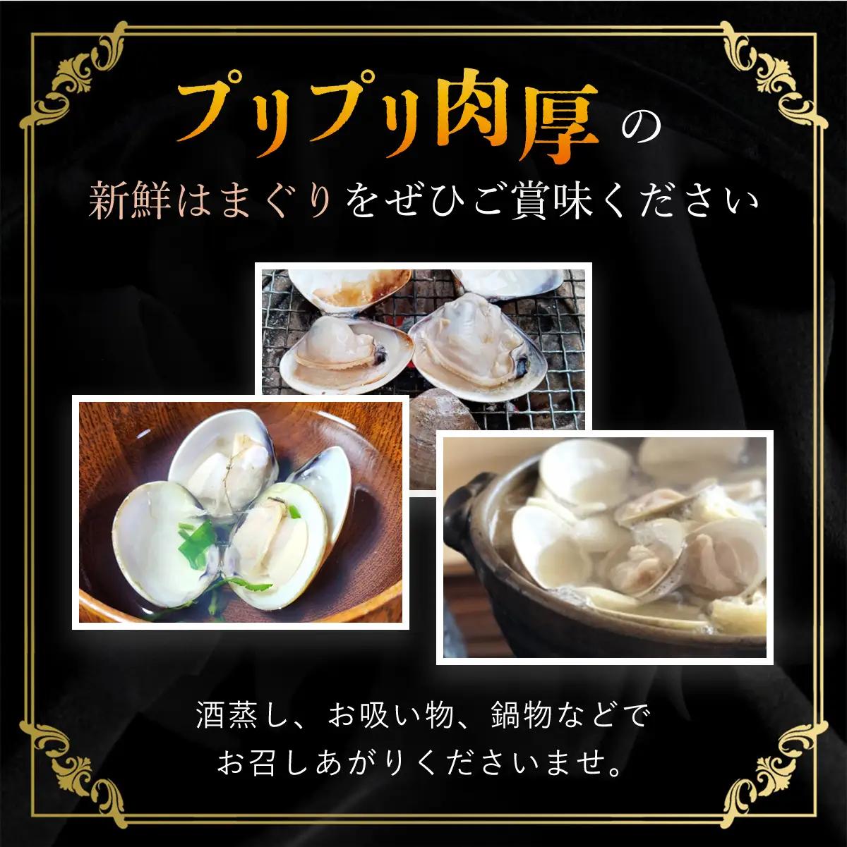 天然はまぐり 1kg 九十九里産 新鮮はまぐりを真空冷凍！SMAJ015  千葉県 山武市 はまぐり ハマグリ 蛤