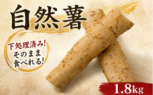 【7日以内発送】 天然 自然薯 300g × 6パック 晩御飯 お弁当 昼 夜 朝 ランチ おいしい 牛丼 じねんじょ とろろ 高級 下処理済 届いてすぐ食べられる お取り寄せ ギフト グルメ 贈答 イチオシ おすすめ 高級 送料無料 腸活 アスリート飯 夕飯 静岡県 牧之原市 尾白弁当