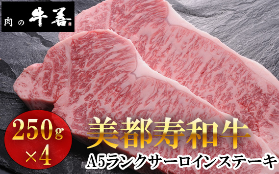 
                  牛善特選 美都寿和牛 サーロインステーキ A5ランク 250g×4枚 ／ 和牛 A5ランク 牛肉 サーロイン ステーキ用 霜降り牛肉 サシがきれい やわらかい肉 贅沢 ご褒美 贈り物 肉ギフト 焼きやすい 千葉県 特産 No.289
                
