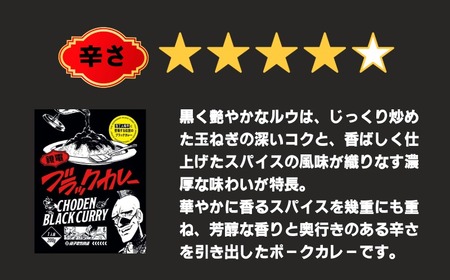 銚電 ブラックカレー 30食 レトルトカレー 銚子電気鉄道