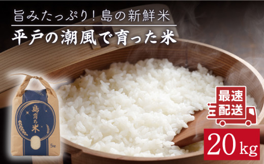 平戸の潮風で育った米 20kg(5kg×4)【平戸瀬戸市場協同組合】[KAA156]/ 長崎 平戸 米 精米 白米 こしひかり ひのひかり にこまる なつほのか 小分け 20kg