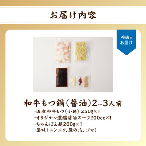 国産和牛もつ鍋（醤油味）2～3人前 ／ もつ鍋【B072】