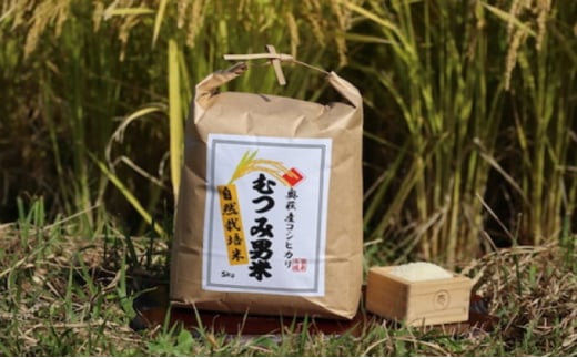 自然栽培 むつみ男米 白米 5kg　｜HG000412