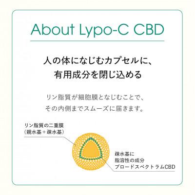 ふるさと納税 鎌倉市 【毎月定期便】【Lypo-C】リポ カプセル CBD(27包入) 1箱全6回 |  | 02