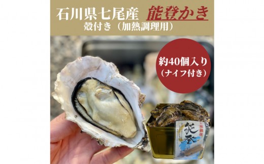 石川県七尾産　能登かき　殻付き　半缶（約40個）