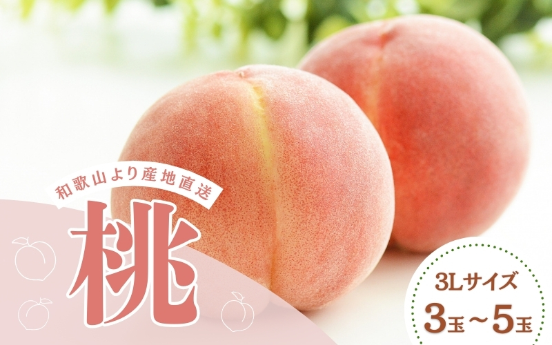 和歌山県産の桃 3Lサイズ(3玉～5玉)【2025年6月中旬頃から8月上旬頃順次発送予定】 | 和歌山 もも 桃 甘い ギフト 贈り物 プレゼント 夏ギフト 果物 フルーツ 人気 産地直送 和歌山県 お取り寄せ【mat109】