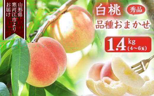 山形の白桃 秀品 1.4kg（4 - 6玉） 品種おまかせ 秀品 山形県産 2025年産 令和7年産【2025年8月上旬頃から9月下旬頃発送予定】※ 配送不可 沖縄・離島　010-B-MM069