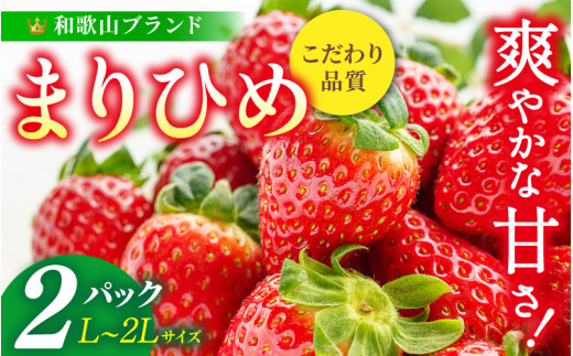 【先行予約】まりひめイチゴ L～２L 12粒～15粒×2パック【2026年1月中旬から発送】【先行販売】【KG7】【kgr007A】