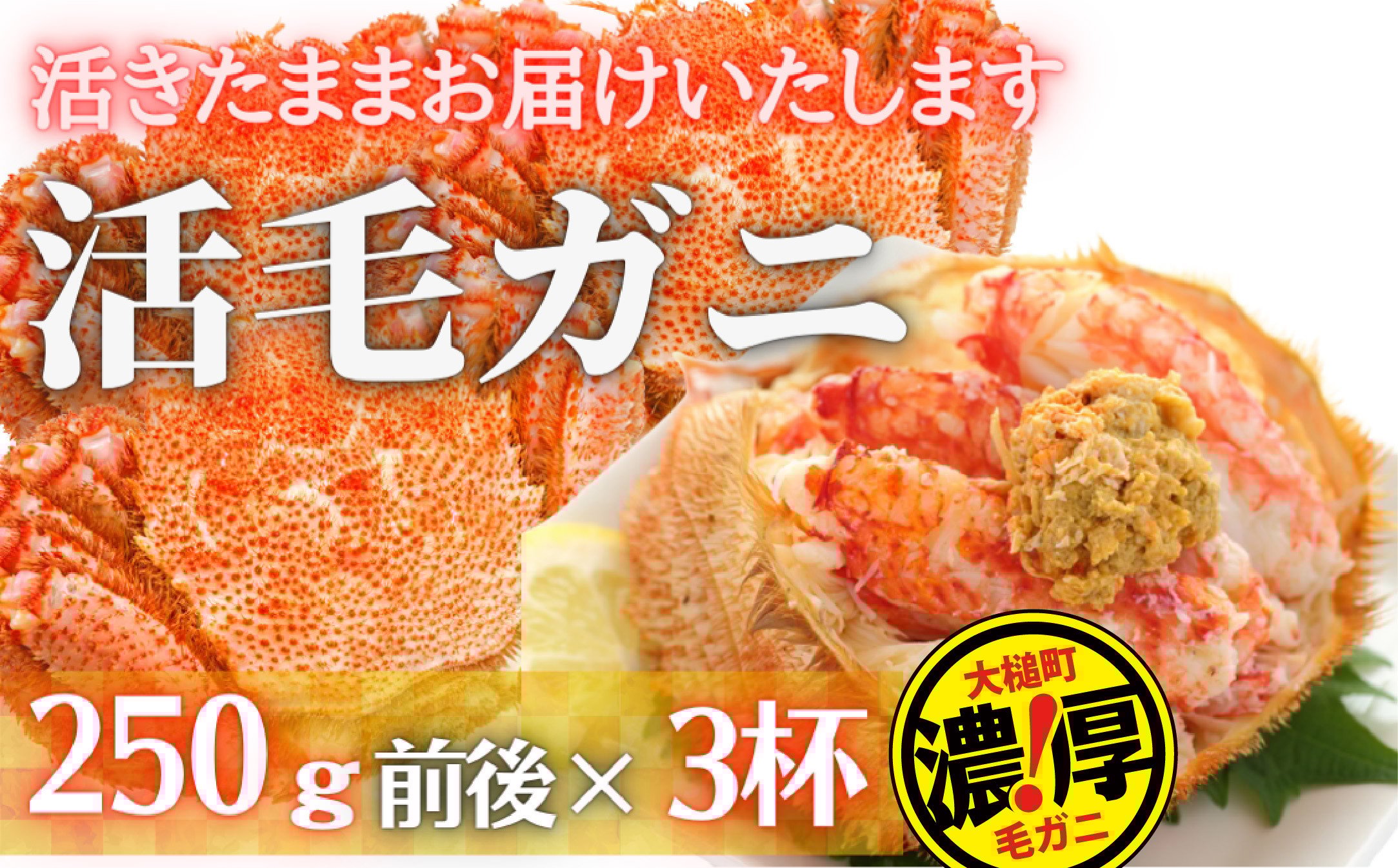 
            【令和8年発送】三陸産 三陸活毛ガニ 250g×3杯【2026年3月～4月発送】【05】　
          
