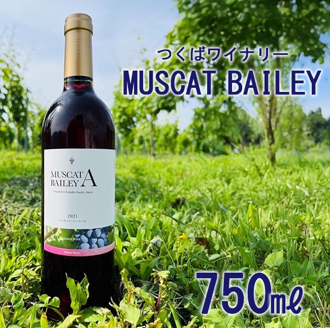 【ふるさと納税】2021つくばワイナリー MUSCAT BAILEY A | お酒 葡萄 ぶどう ブドウ 茨城県 つくば市 ワイナリー ワイン 赤ワイン