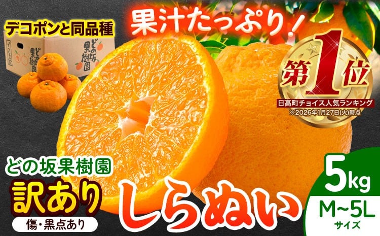 
                  《今が旬! プリっと濃厚!》訳あり 不知火(しらぬい) 約5kg (M～5Lサイズ) どの坂果樹園《2026年2月上旬-4月上旬頃出荷》 和歌山県 日高町 しらぬい でこぽん 旬 果物 フルーツ 柑橘 訳あり不知火 訳ありデコポン 訳ありしらぬい( デコポンと同品種 ) 
                
