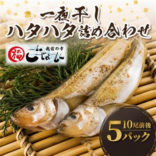【のし付】【越前海岸・美味直送シリーズ】一夜干しハタハタ詰合わせ　1kg(200g入×5パック)【配送不可地域：離島】【1702557】