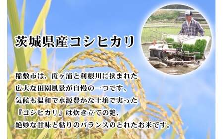 新米【令和7年産】お米の王様！茨城県産 コシヒカリ 白米 5kg×1袋｜おこめ 精米 こしひかり 直送 稲敷 茨城 [1819]