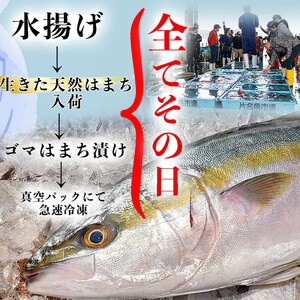 岬だより 調理不要 天然 はまちのごま漬け　12袋セット
