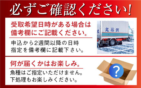 【五島列島・直送】朝獲れ！高級鮮魚セット2kg 五島市 / 鯛福丸水産 [PDP002] 魚 鮮魚 セット 海鮮 直送 さかな 詰合せ 冷蔵