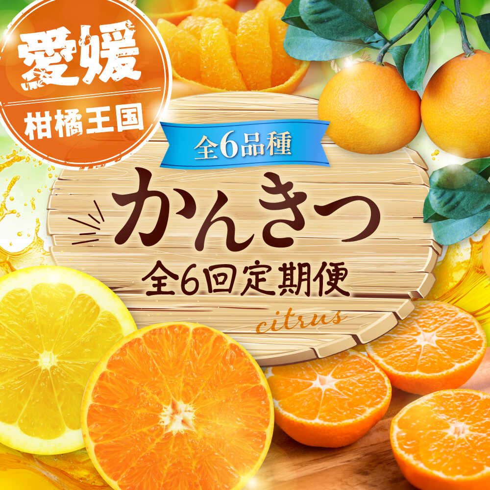 【ふるさと納税】【全6回定期便】 【2025年11月以降毎月発送】えひめかんきつ定期便 大洲市/愛媛県観光物産協会[AGDN001] くだもの 果物 フルーツ みかん 紅まどんな 伊予柑 デコポン せとか 河内晩柑 大洲市産 産地直送 おすすめ 人気 お取り寄せ 送料無料 贈答 ギフト