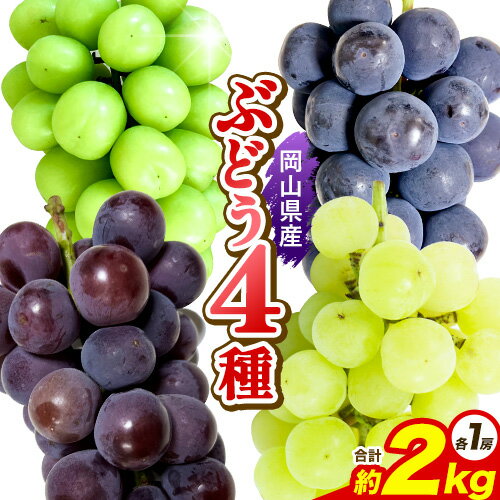 【ふるさと納税】ぶどう 岡山県産ぶどう4種セット シャインマスカット1房 ピオーネ1房 オーロラブラック1房 瀬戸ジャイアンツ1房 約2kg(4房) 株式会社あいたいよう 《9月上旬-9月下旬頃出荷》岡山県 備前市 シャインマスカット ピオーネ オーロラブラック 瀬戸ジャイアンツ
