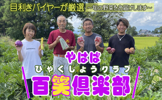 
数量限定　矢巾町産　夏野菜セット【10種】7月発送
