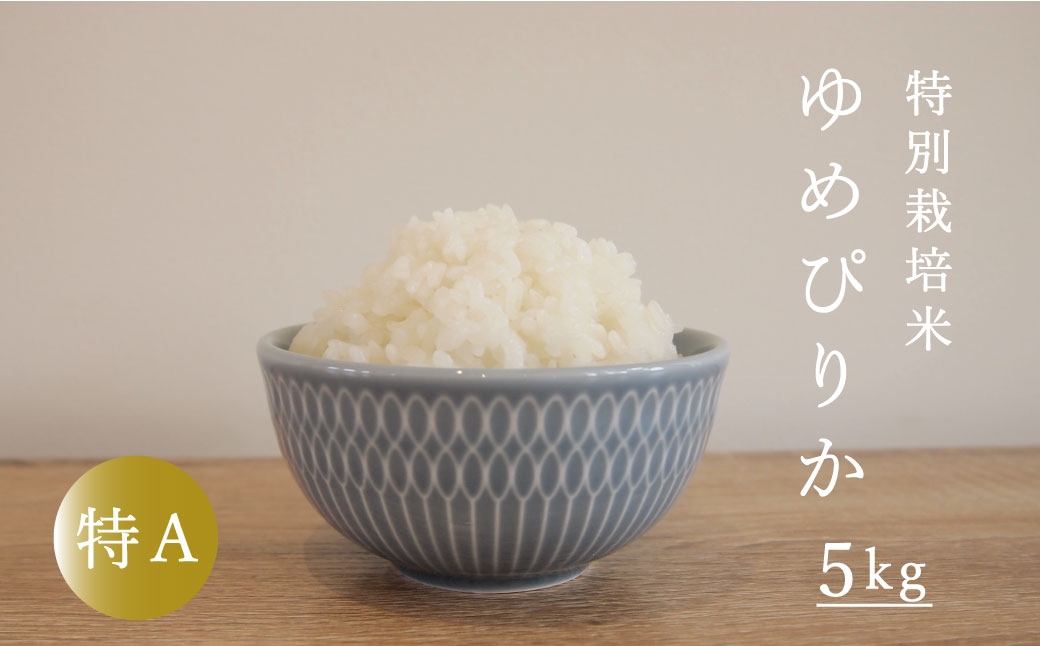 【令和7年産先行受付】特別栽培米 ゆめぴりか 5kg 北海道当麻町 舟山農産 減農薬 低農薬【AB-013】