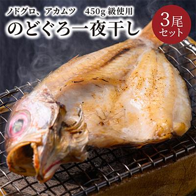 ふるさと納税 京丹後市 のどぐろ一夜干し　(ノドグロ、アカムツ)　450g級使用　干し上がり後　315g以上　3尾セット