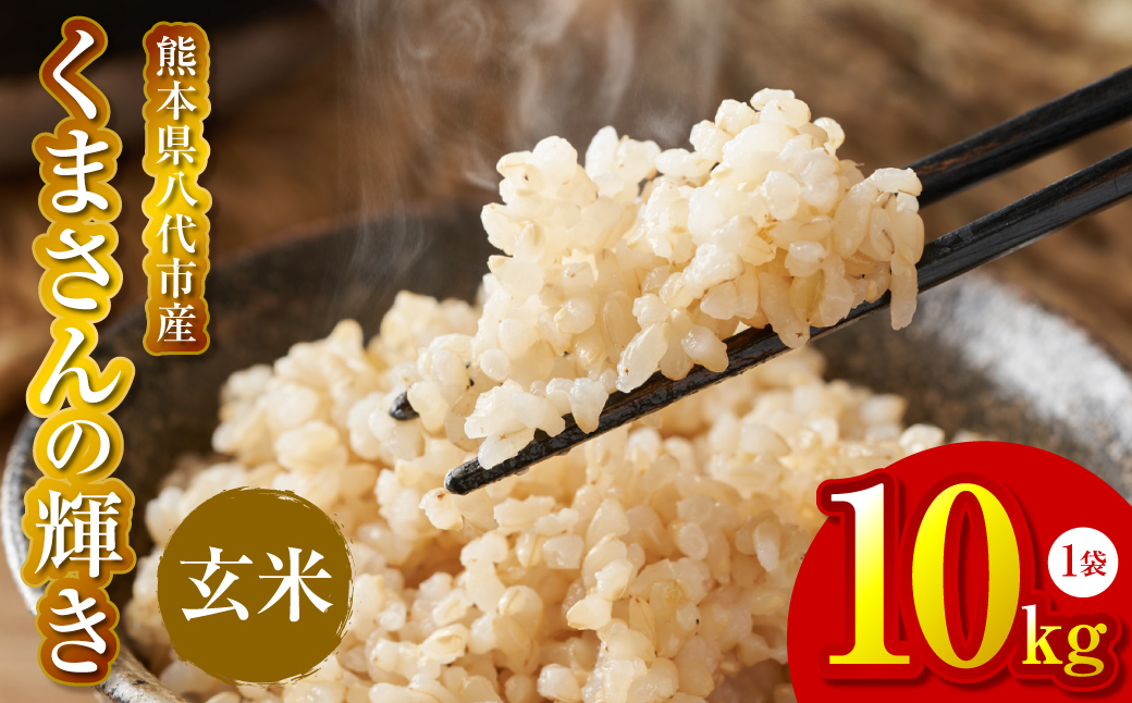【先行予約】《令和7年産》 くまさんの輝き 玄米 10kg 熊本県 八代市産 米 お米 国産 【2025年11月下旬より順次発送】