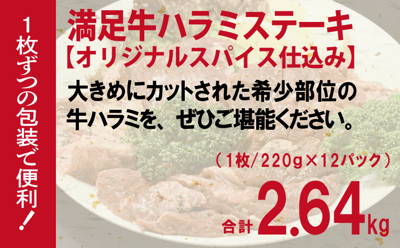 【満足牛ハラミステーキ】オリジナルスパイス仕込み 1枚220g×12P 合計2.64kg 【味付け ハラミ ステーキ 小分け 焼くだけ 簡単調理 BBQ 牛肉】 099H3705