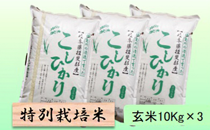 特別栽培米 【 令和8年産 】 玄米 30kg【 コシヒカリ 】