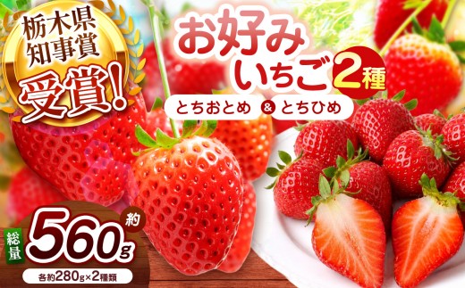 【2027年先行予約】元祖とちおとめ×幻のとちひめ 食べ比べセット 560g