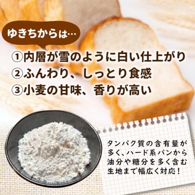 ふるさと納税 東白川村 岐阜県 東白川村産 強力粉 小麦粉 ゆきちから 500g |  | 02