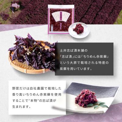 ふるさと納税 京都市 志ば漬きざみ3袋 LLP|京都 老舗 土井 有名店 しば漬 漬物 人気セット |  | 02