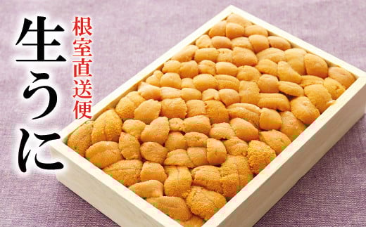 B-40026 エゾバフンウニ150g×1折[10月中旬以降発送]