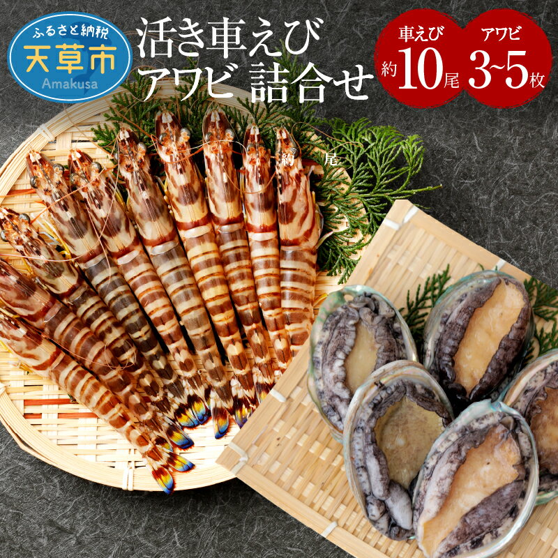 【ふるさと納税】【着日指定】 魚介類 詰め合わせ 約650g 活き車えび 300g 10尾前後 活きアワビ 350g 3〜5枚 活きたまま 海鮮 セット 新鮮 海の幸 熊本 天草 食品 お取り寄せ お取り寄せグルメ 送料無料 食べ物 冷蔵