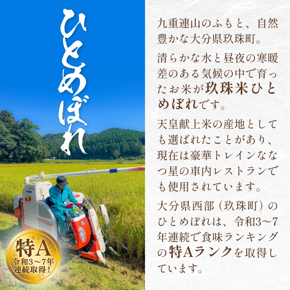 【令和8年度産先行受付】米 ひとめぼれ 白米 3kg × 3回 毎月 定期便 こめ コメ お米  ヒトメボレ ご飯 ライス 大分県 大分 玖珠町 玖珠