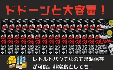 銚電 ブラックカレー 30食 レトルトカレー 銚子電気鉄道